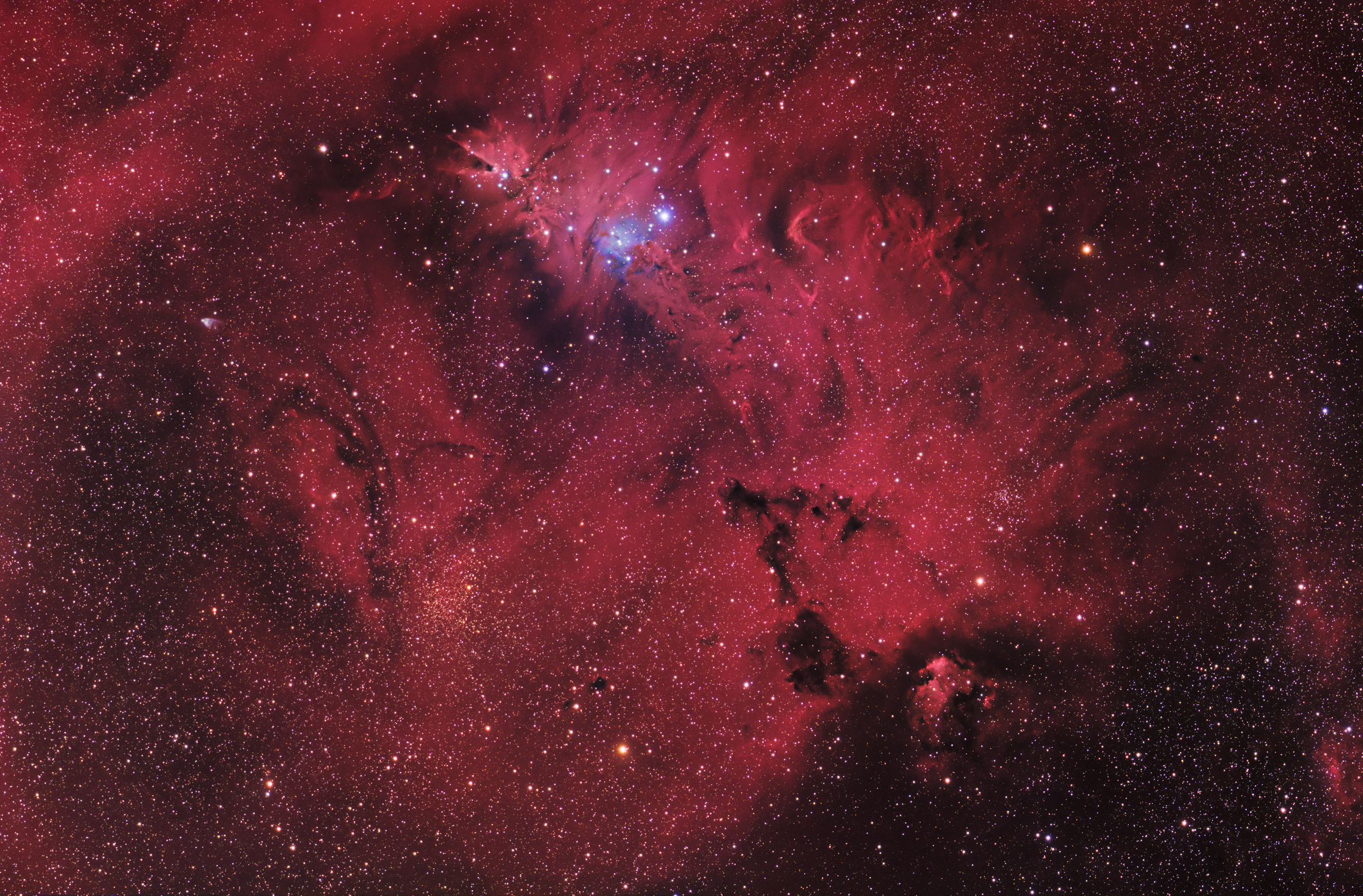Cone Nebula Area