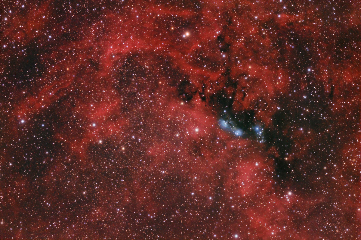 ngc6914 area