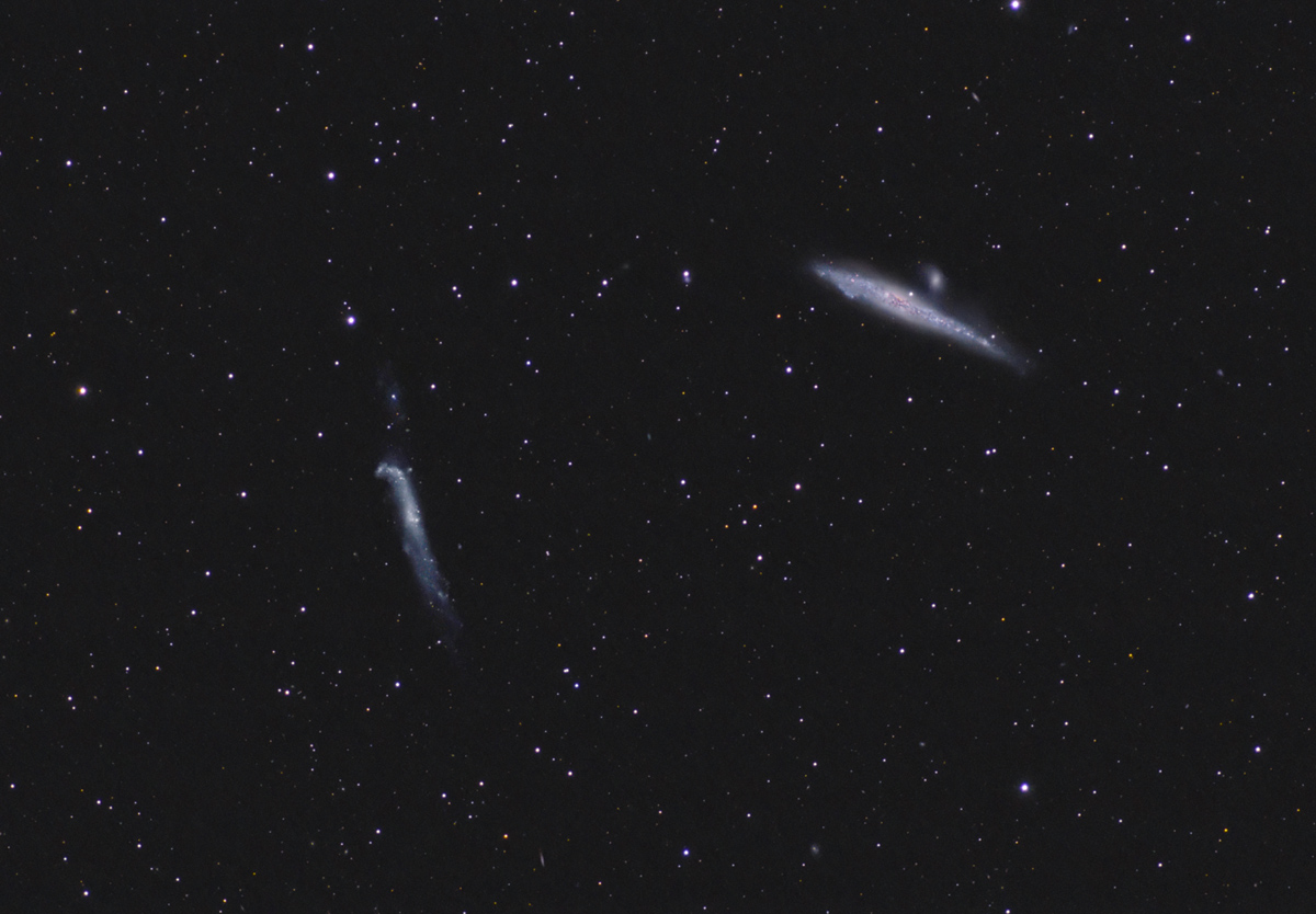 whale galaxies