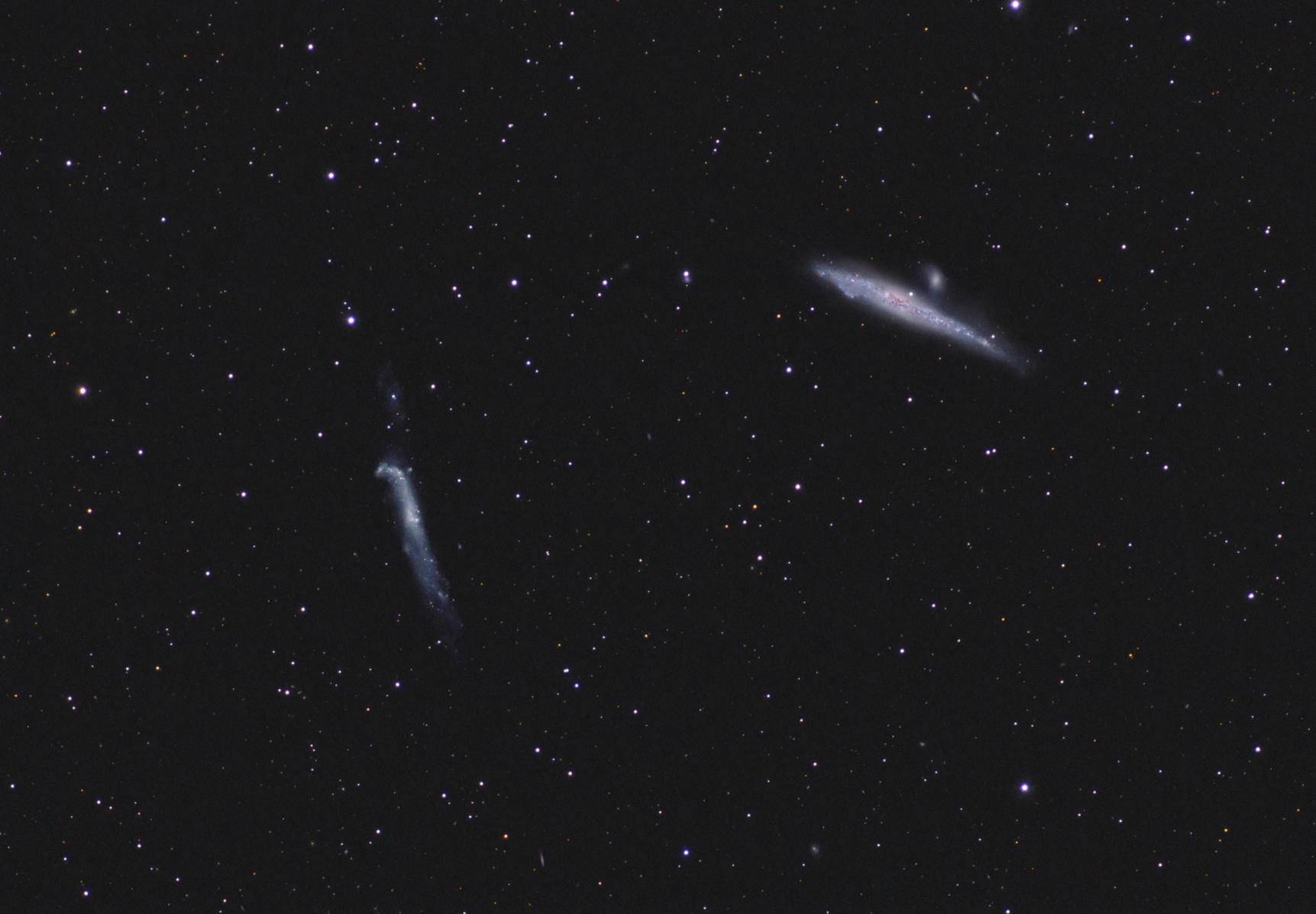 whale galaxies