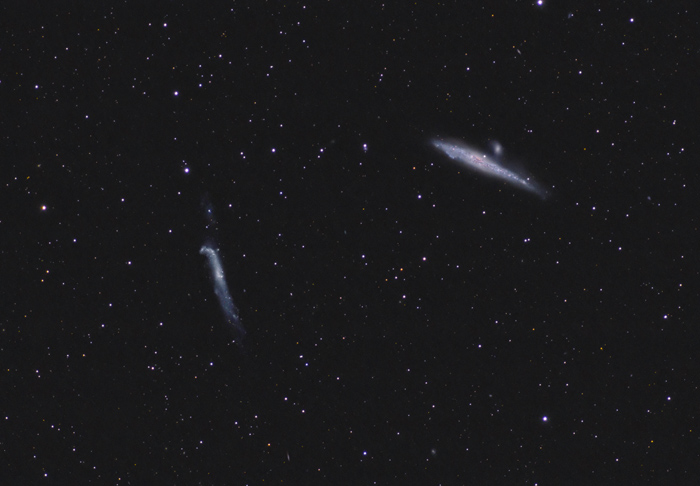 NGC4631 and NGC4656